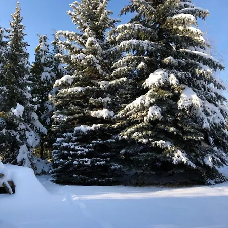 Tejic Holiday home *