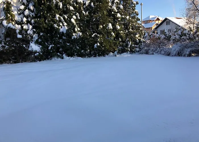 Prázdninový dům Tejic