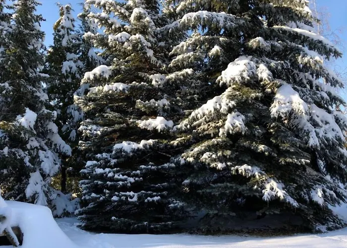 Tejic Prázdninový dům *